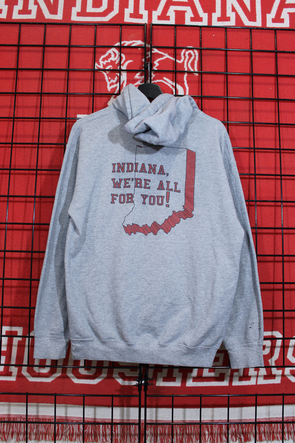 iu1026315b.jpg