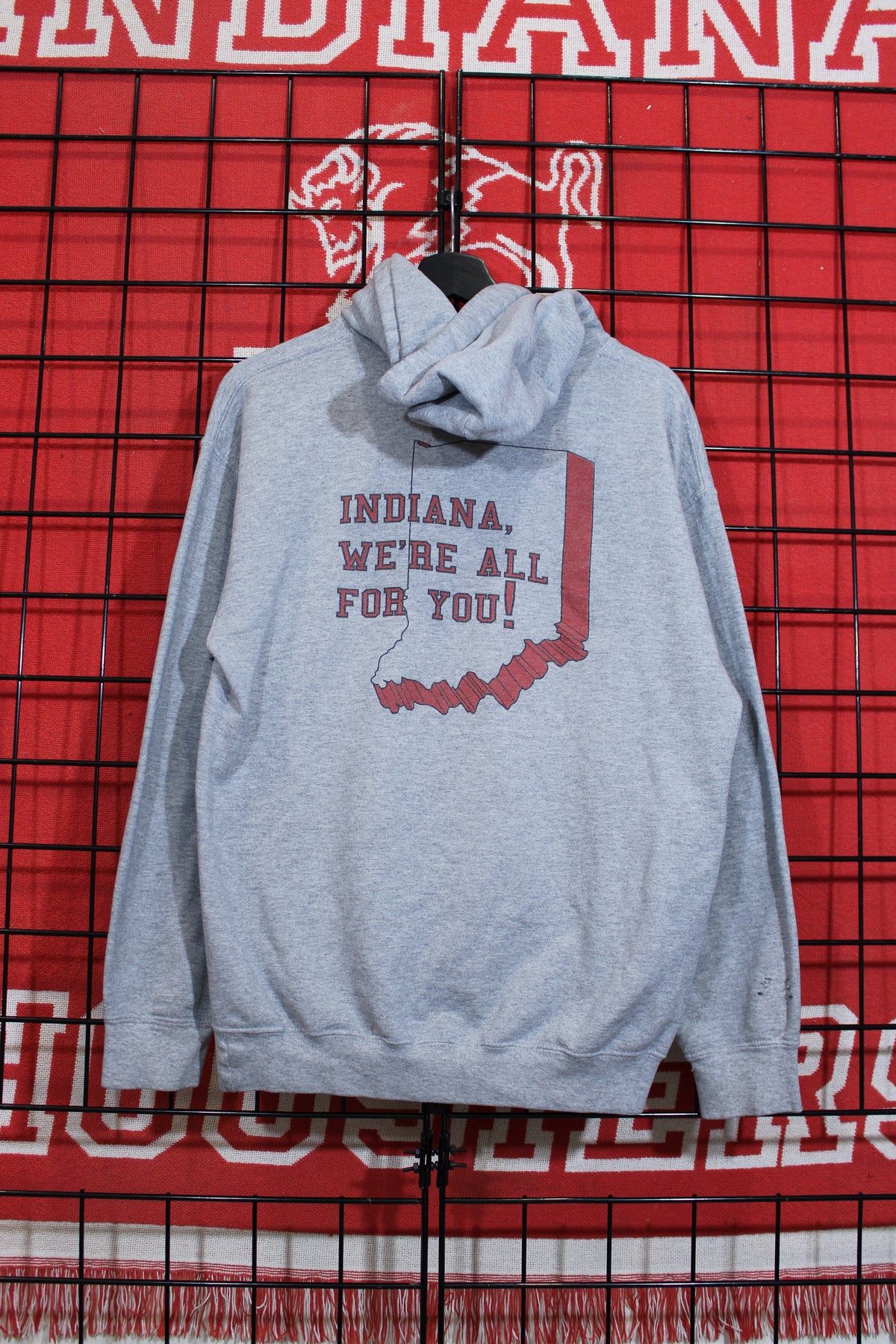 iu1026315b.jpg
