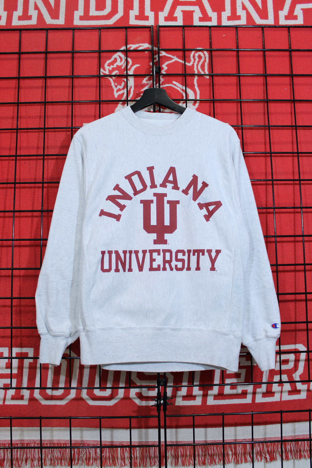 iu1026321a.jpg