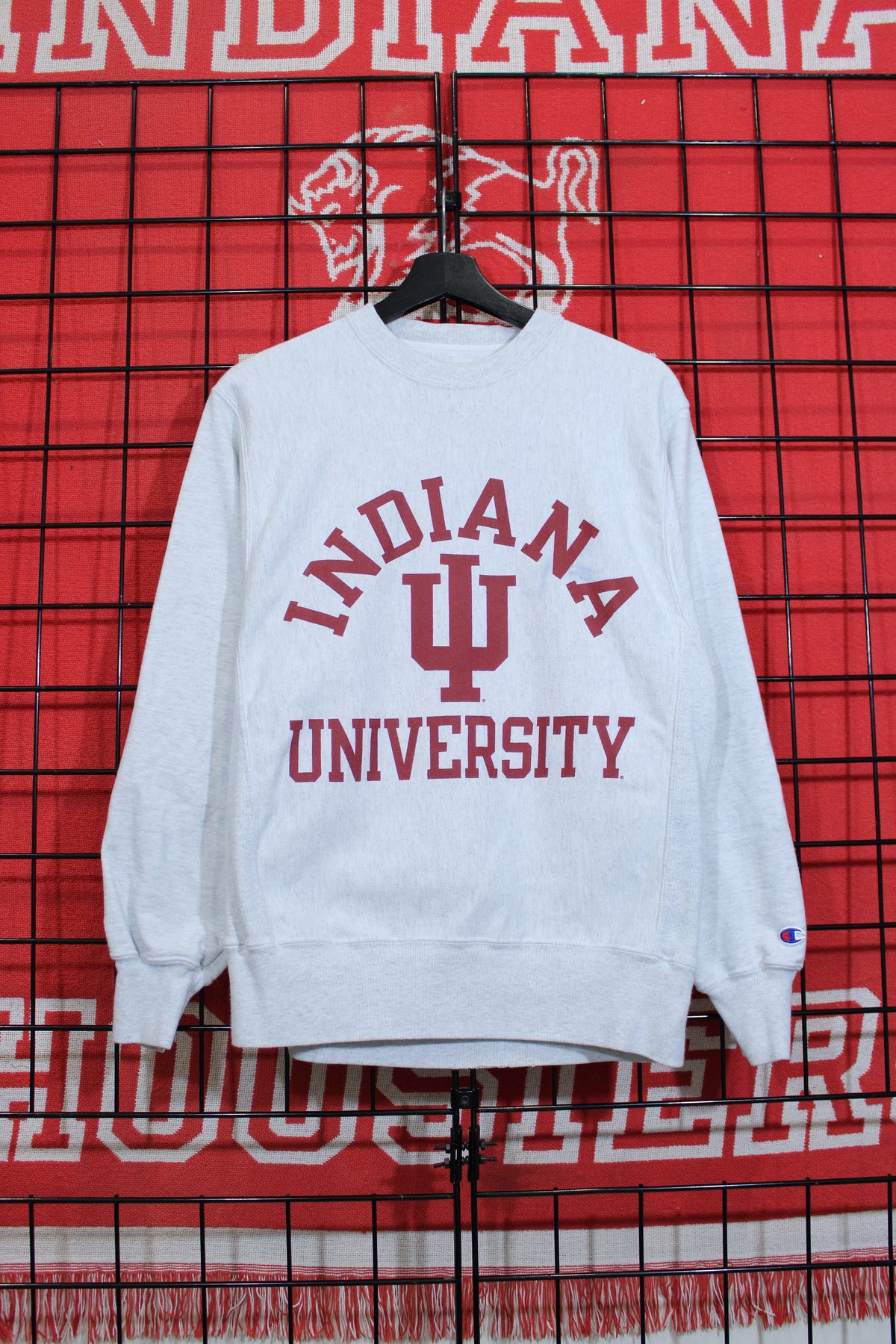 iu1026321a.jpg