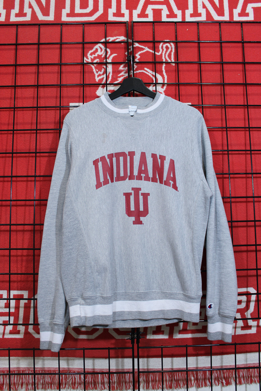 iu1026322a.jpg
