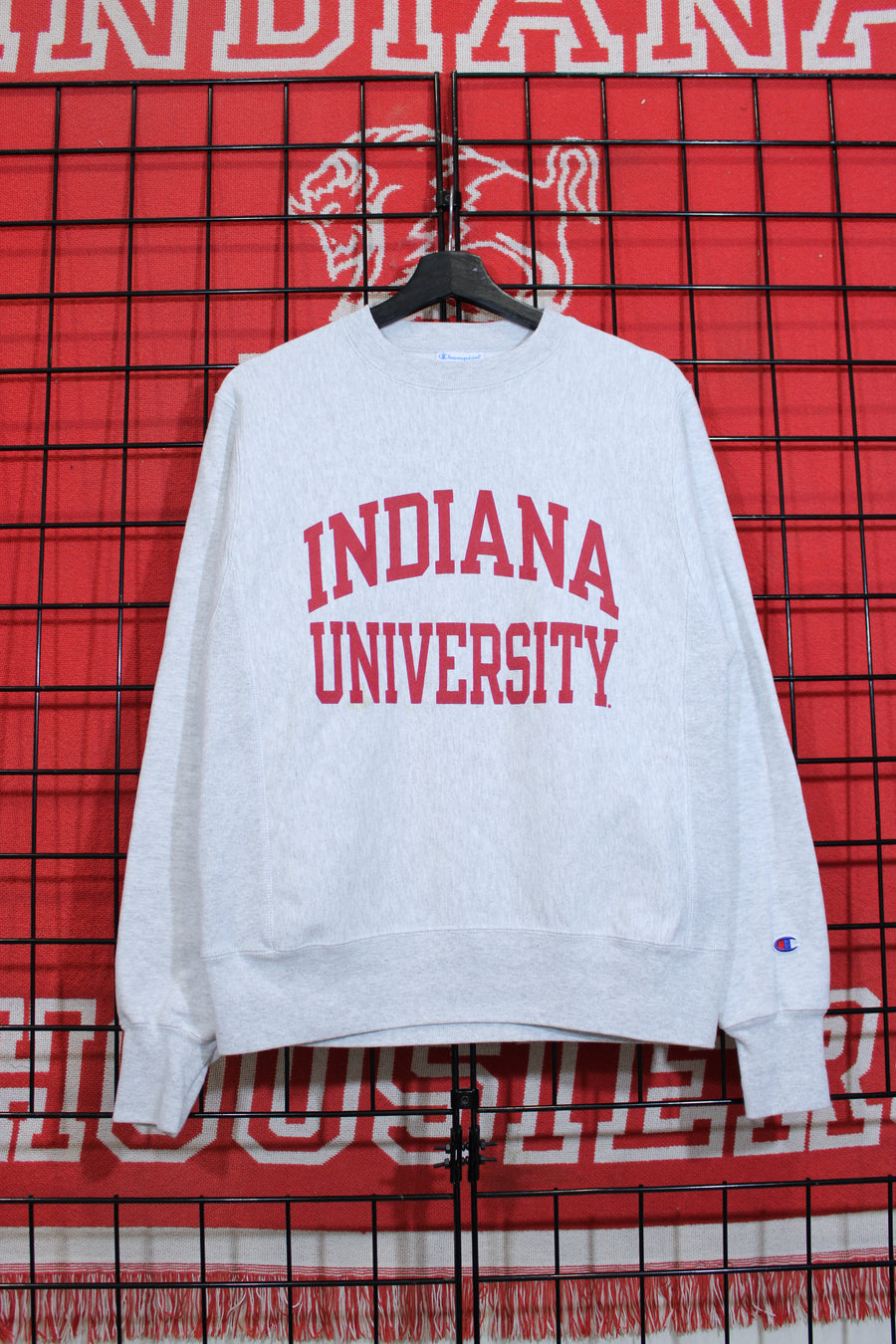 iu1026323a.jpg