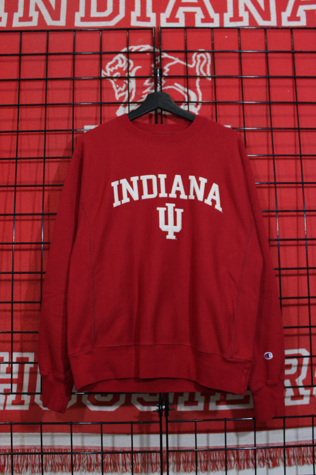 iu1026325a.jpg