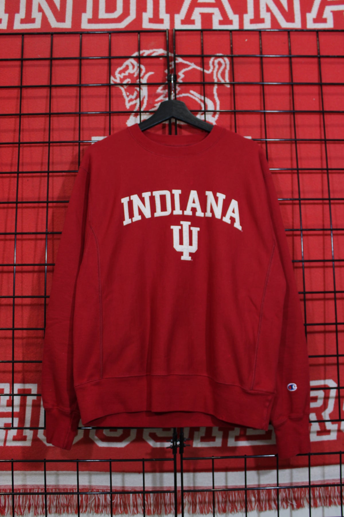 iu1026325a.jpg
