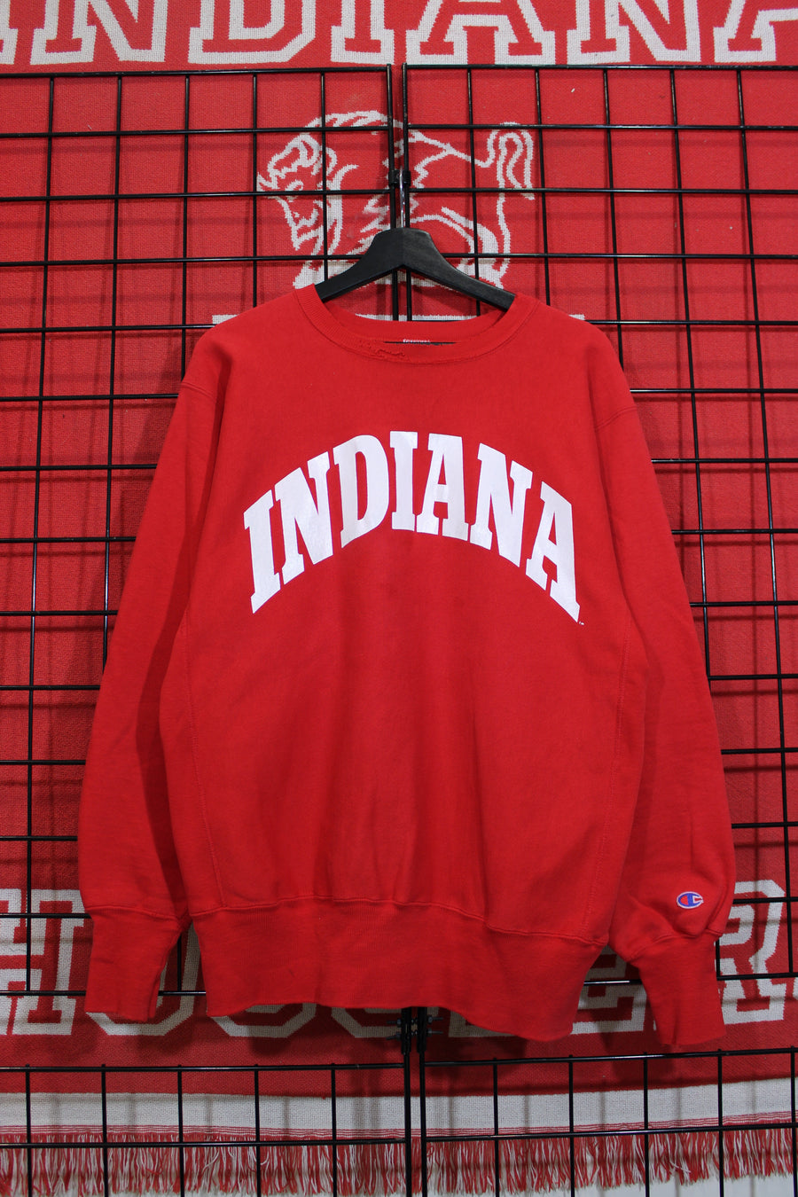 iu1026331a.jpg