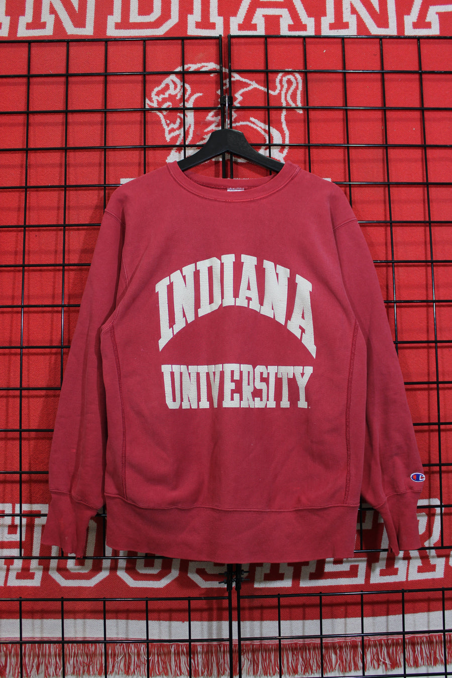 iu1026332a.jpg