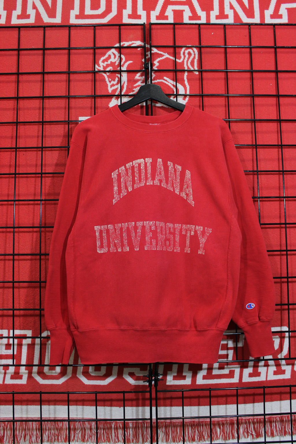 iu1026333a.jpg