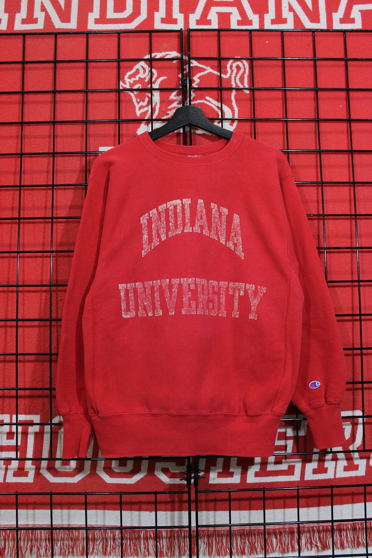 iu1026333a.jpg