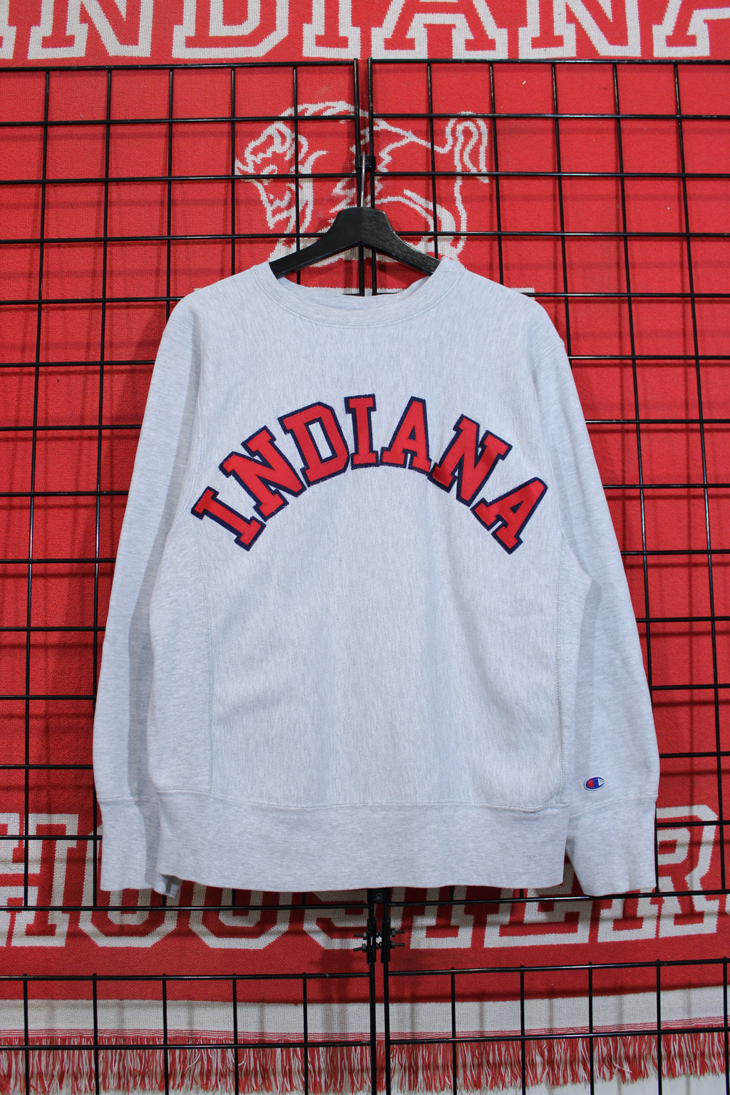 iu1026334a.jpg