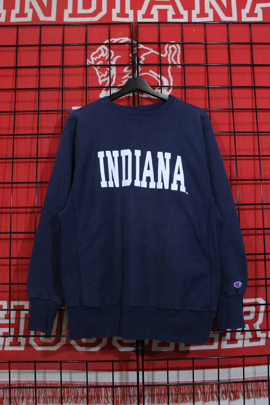 iu1026336a.jpg