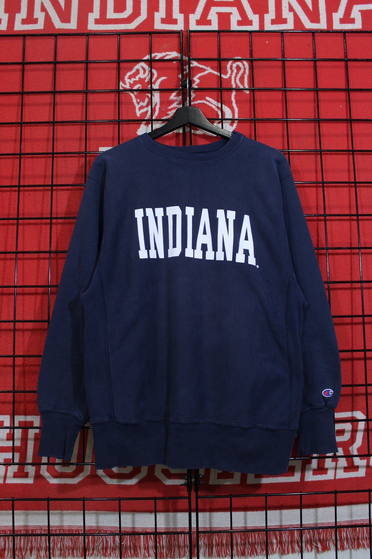 iu1026336a.jpg