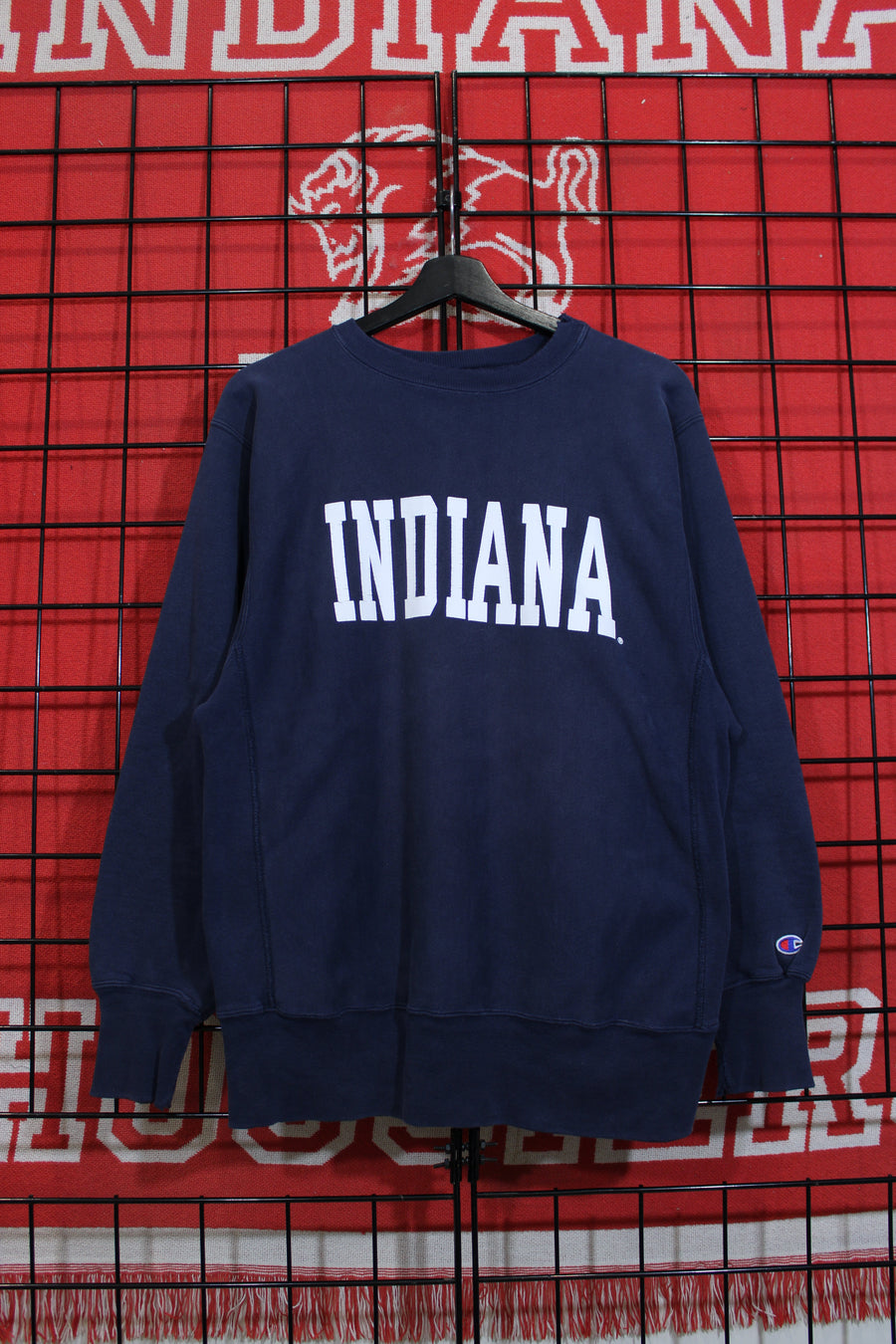 iu1026336a.jpg