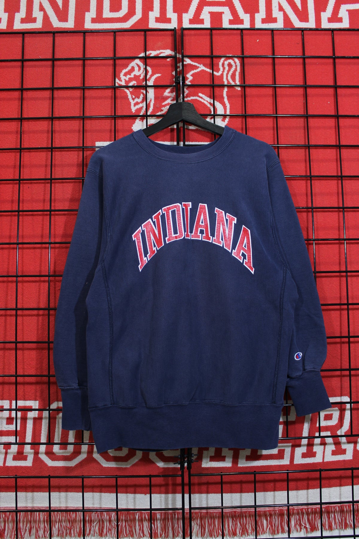 iu1026337a.jpg