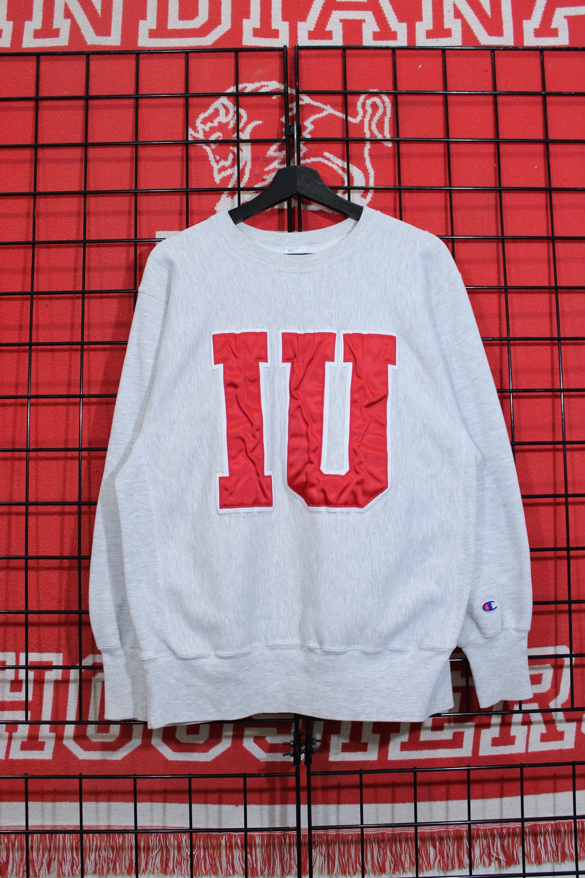 iu1026343a.jpg