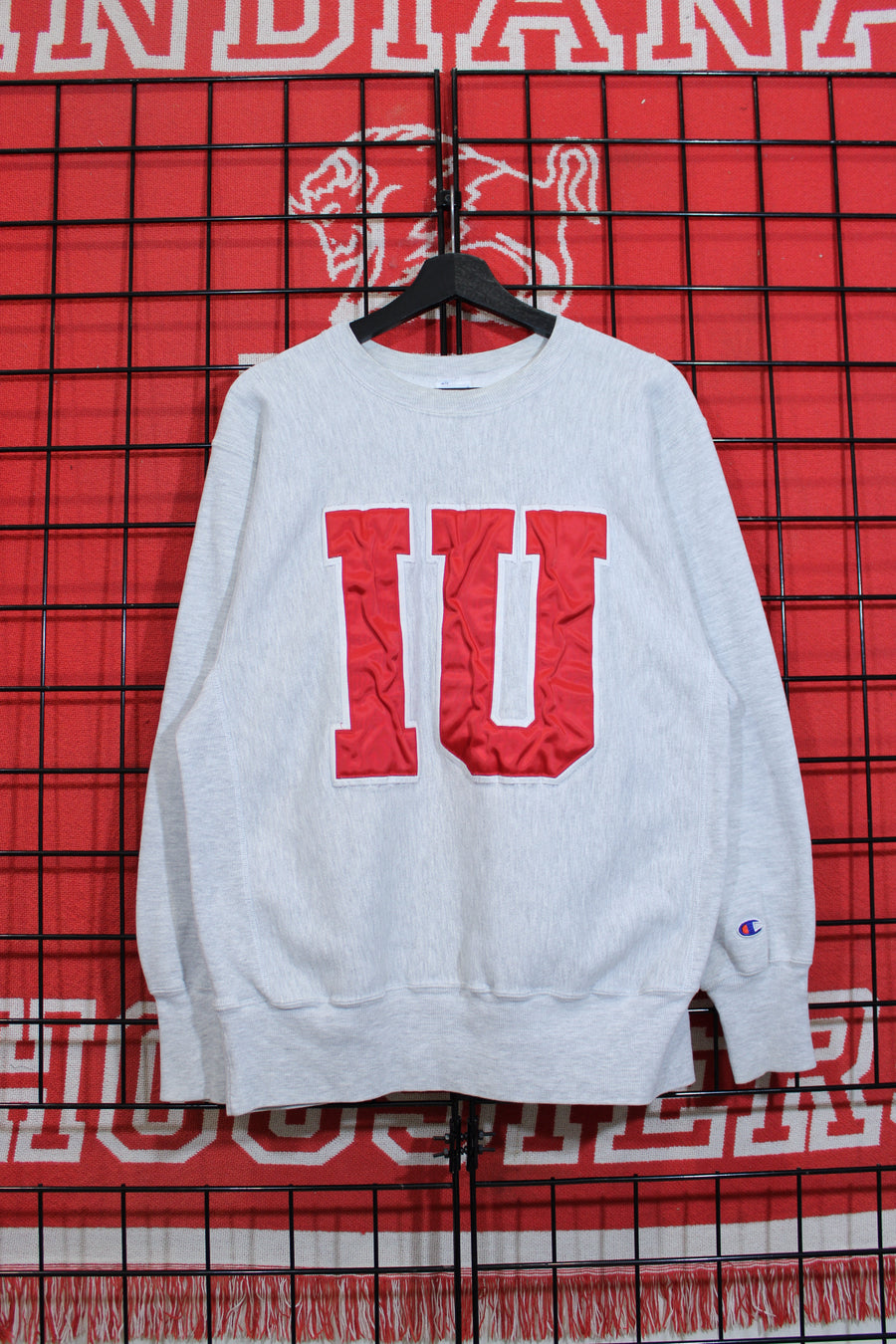 iu1026343a.jpg