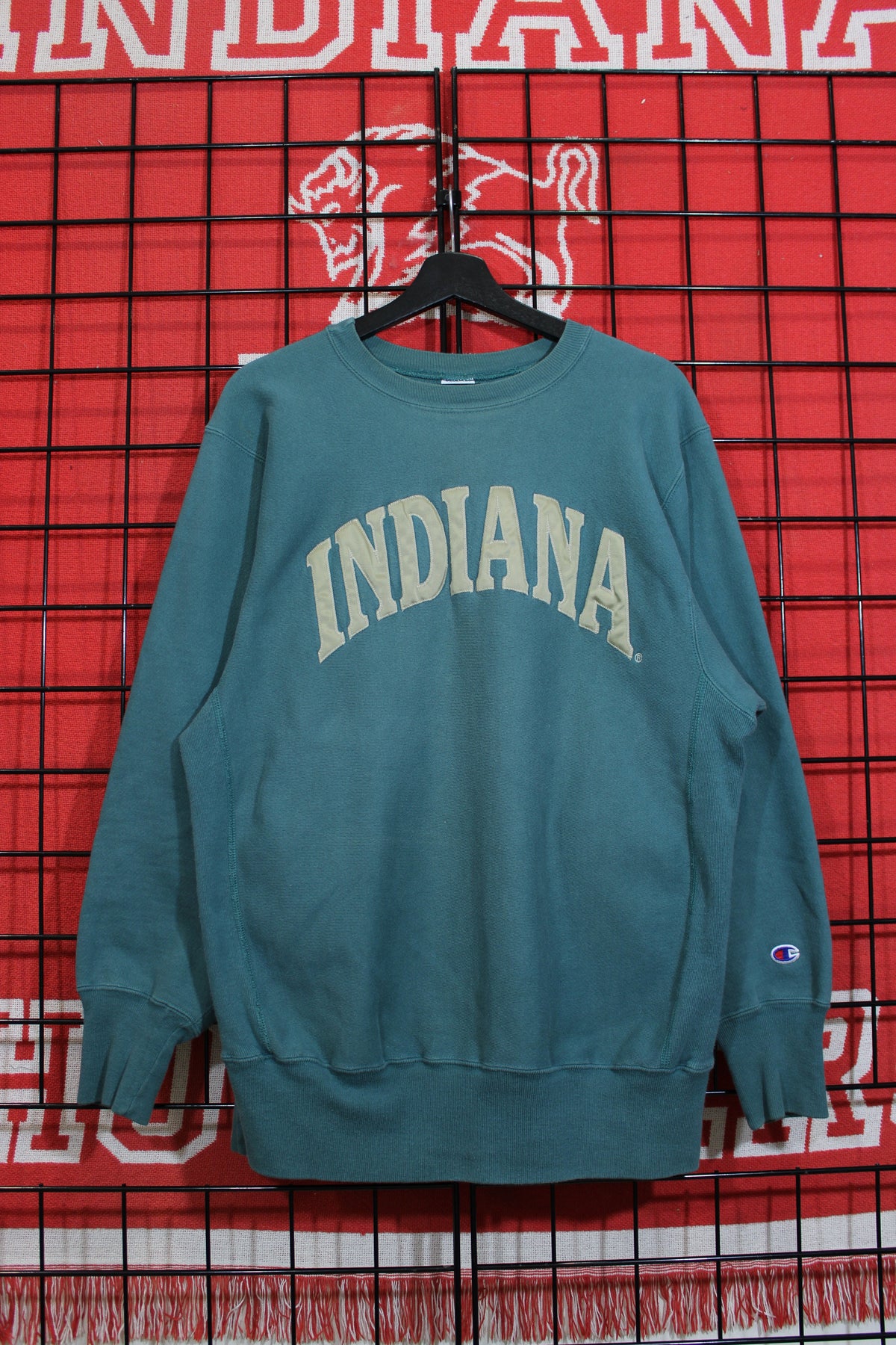 iu1026345a.jpg