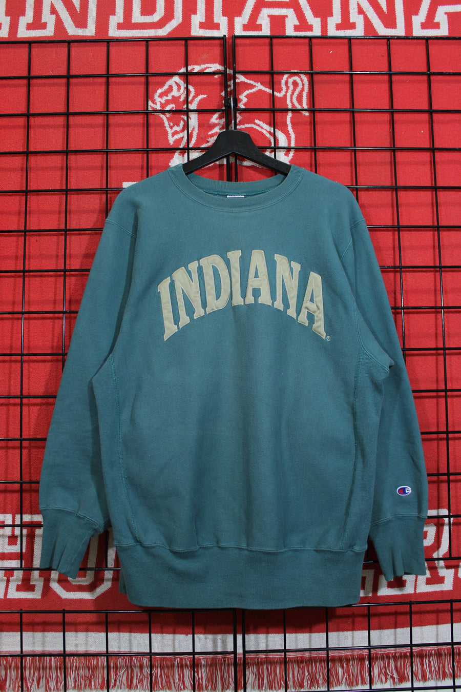 iu1026345a.jpg