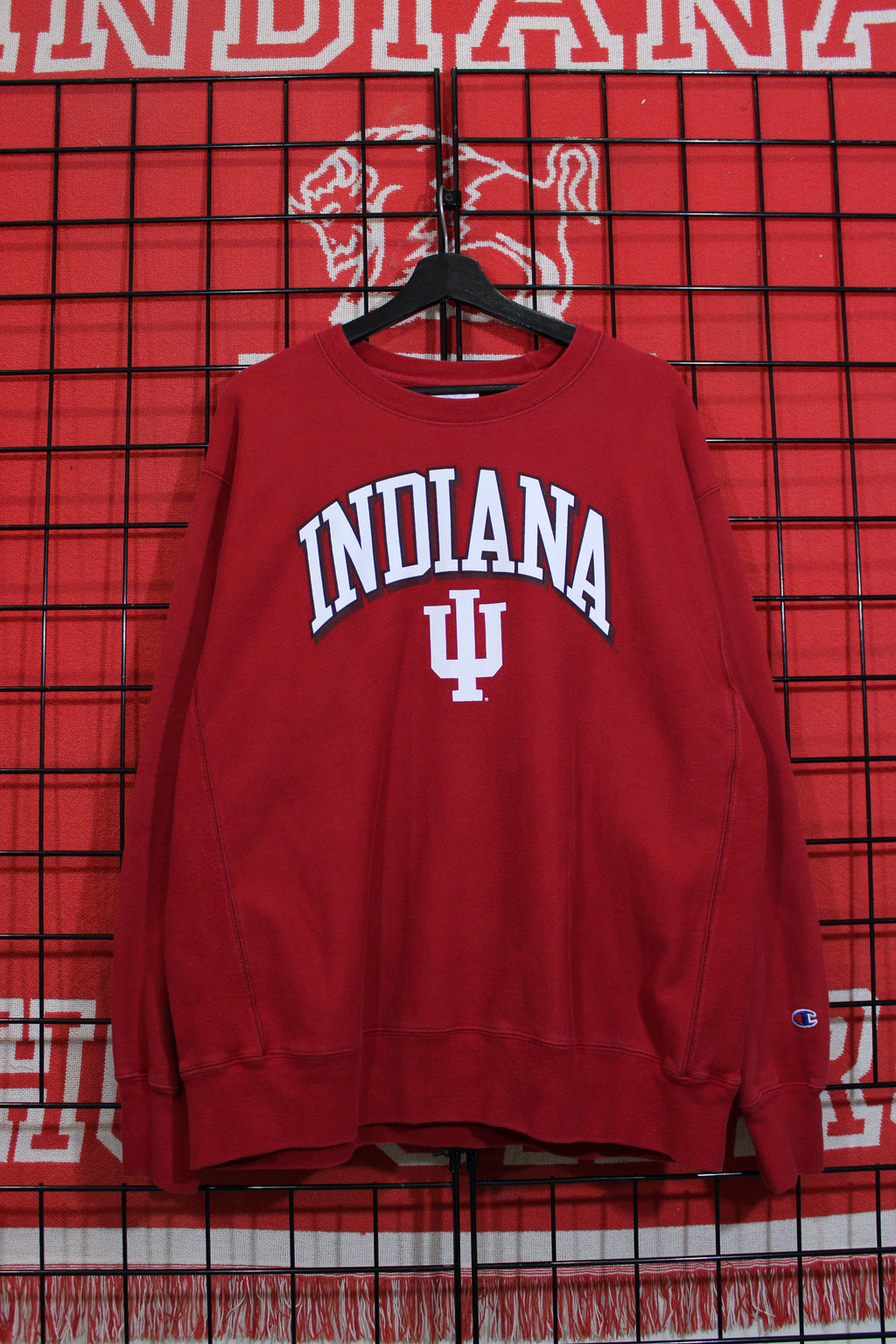 iu1026346a.jpg