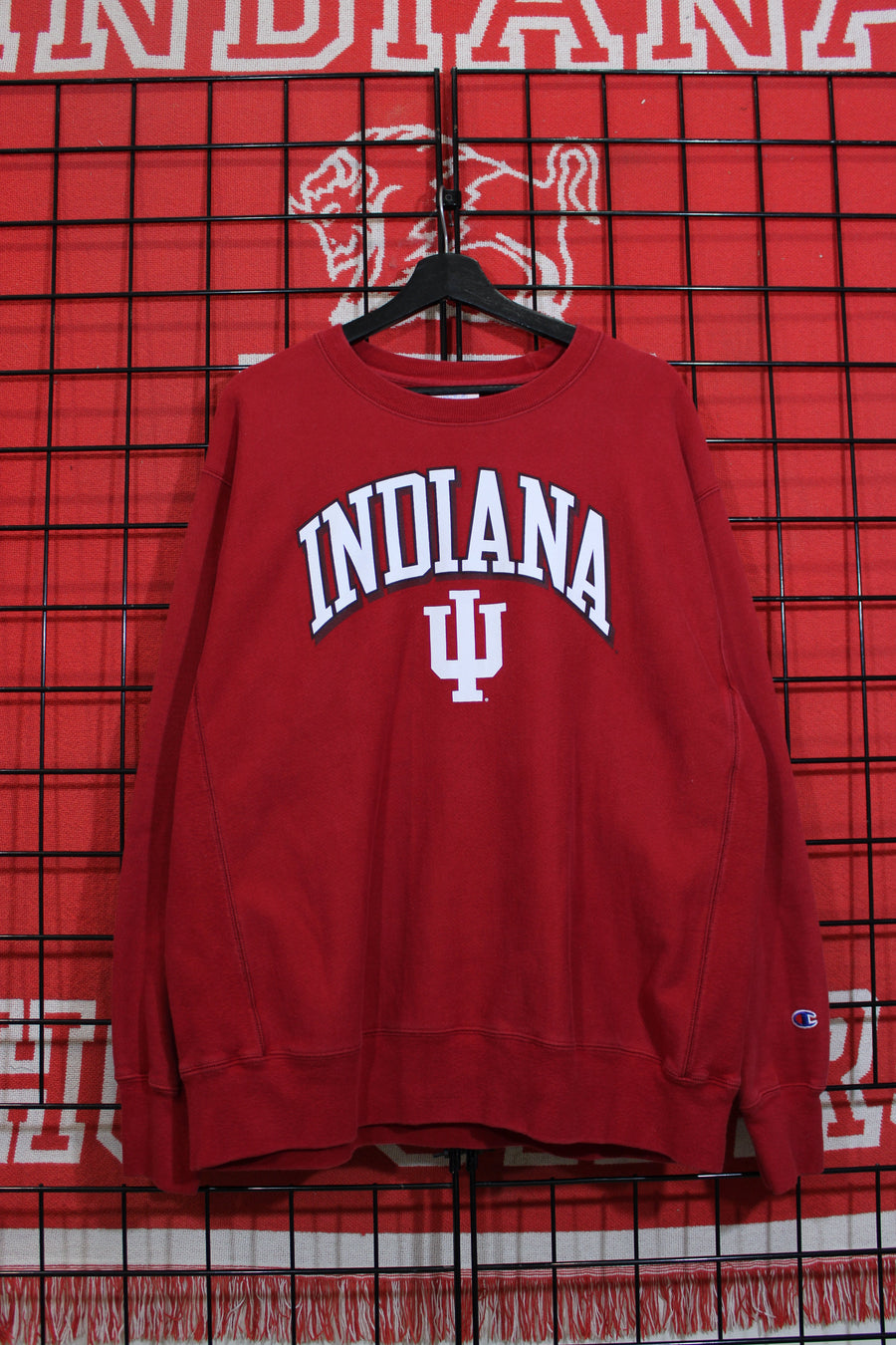 iu1026346a.jpg