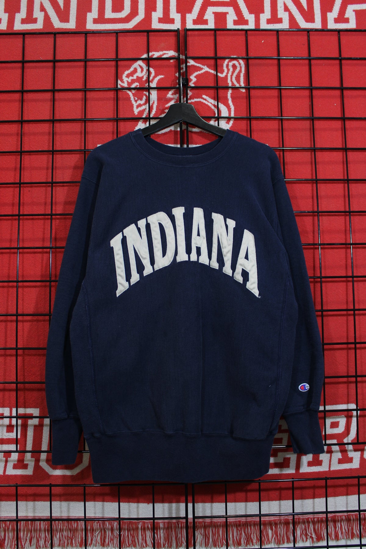 iu1026350a.jpg