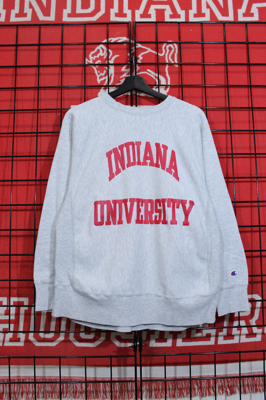 iu1026353a.jpg