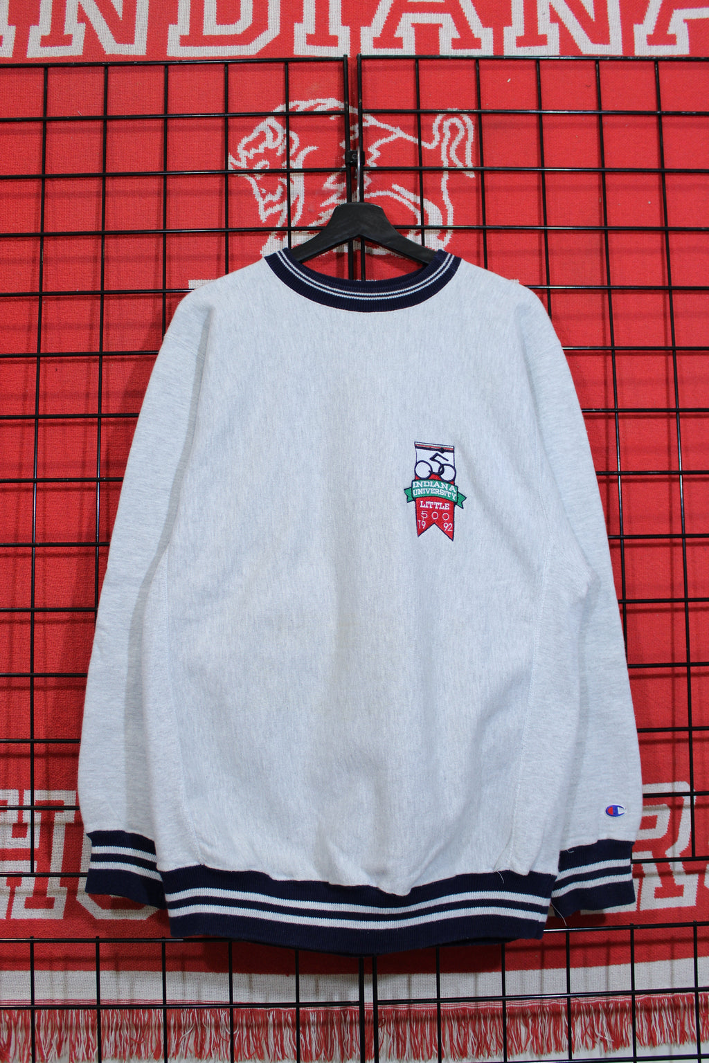 iu1026355a.jpg