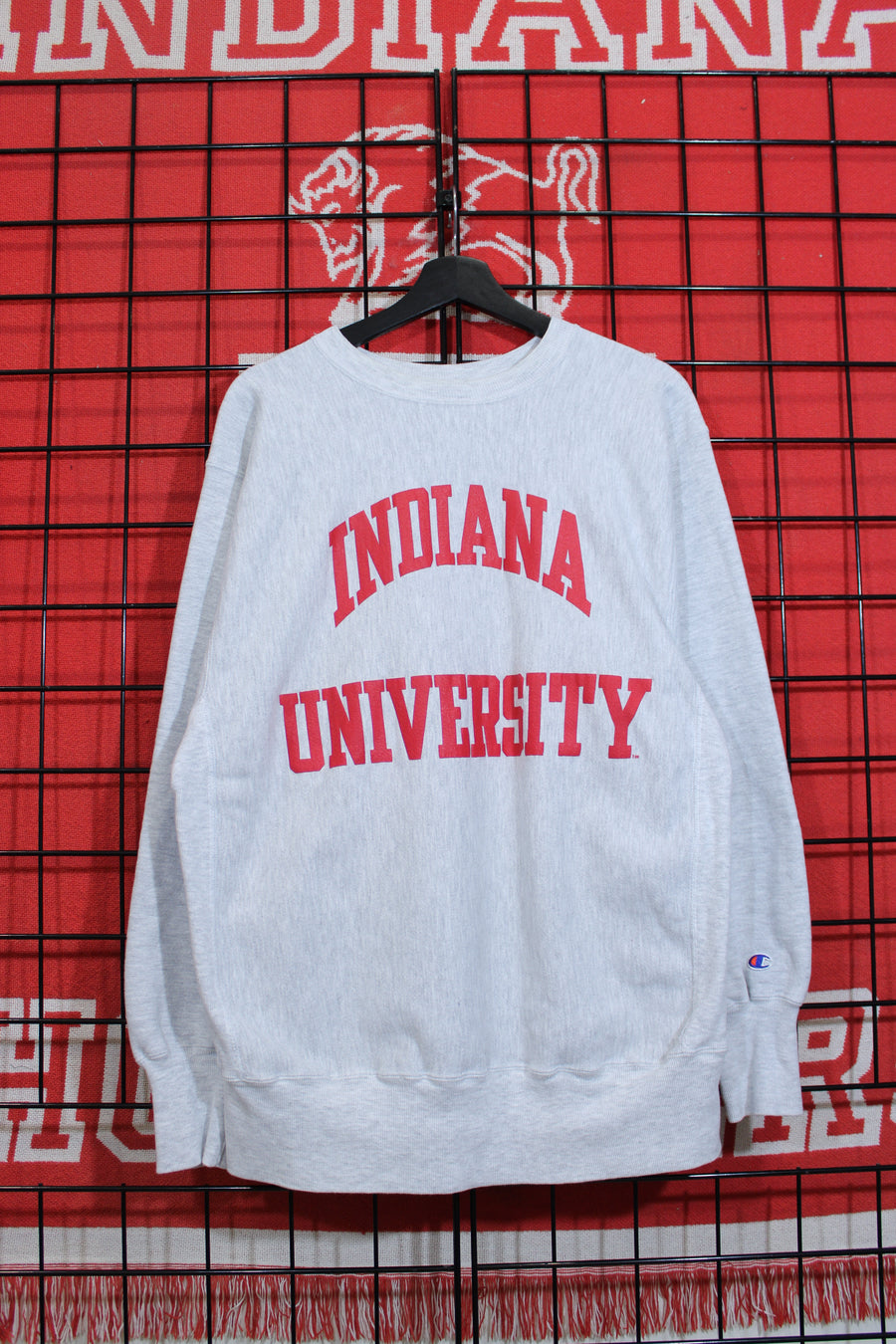 iu1026359a.jpg