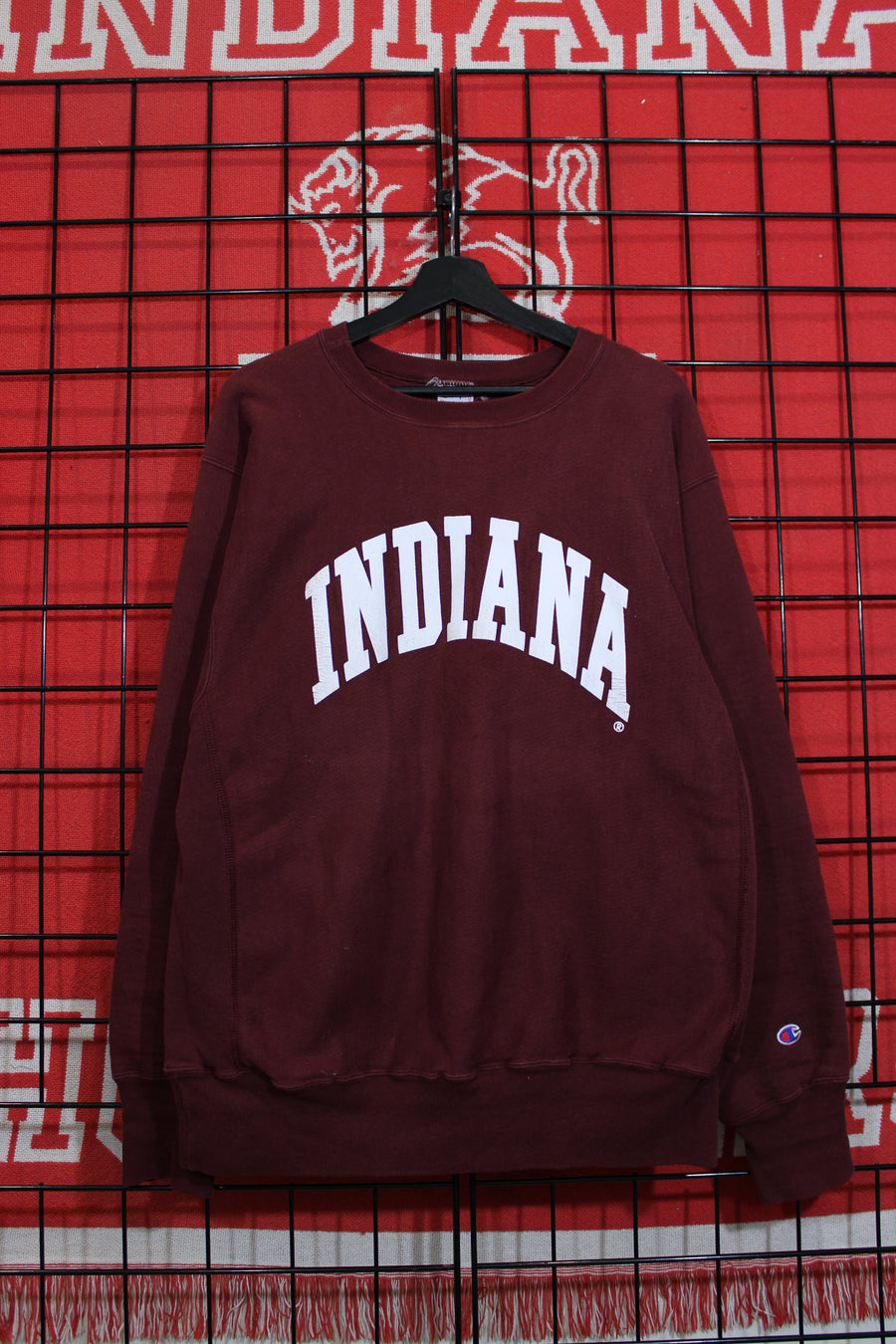 iu1026360a.jpg