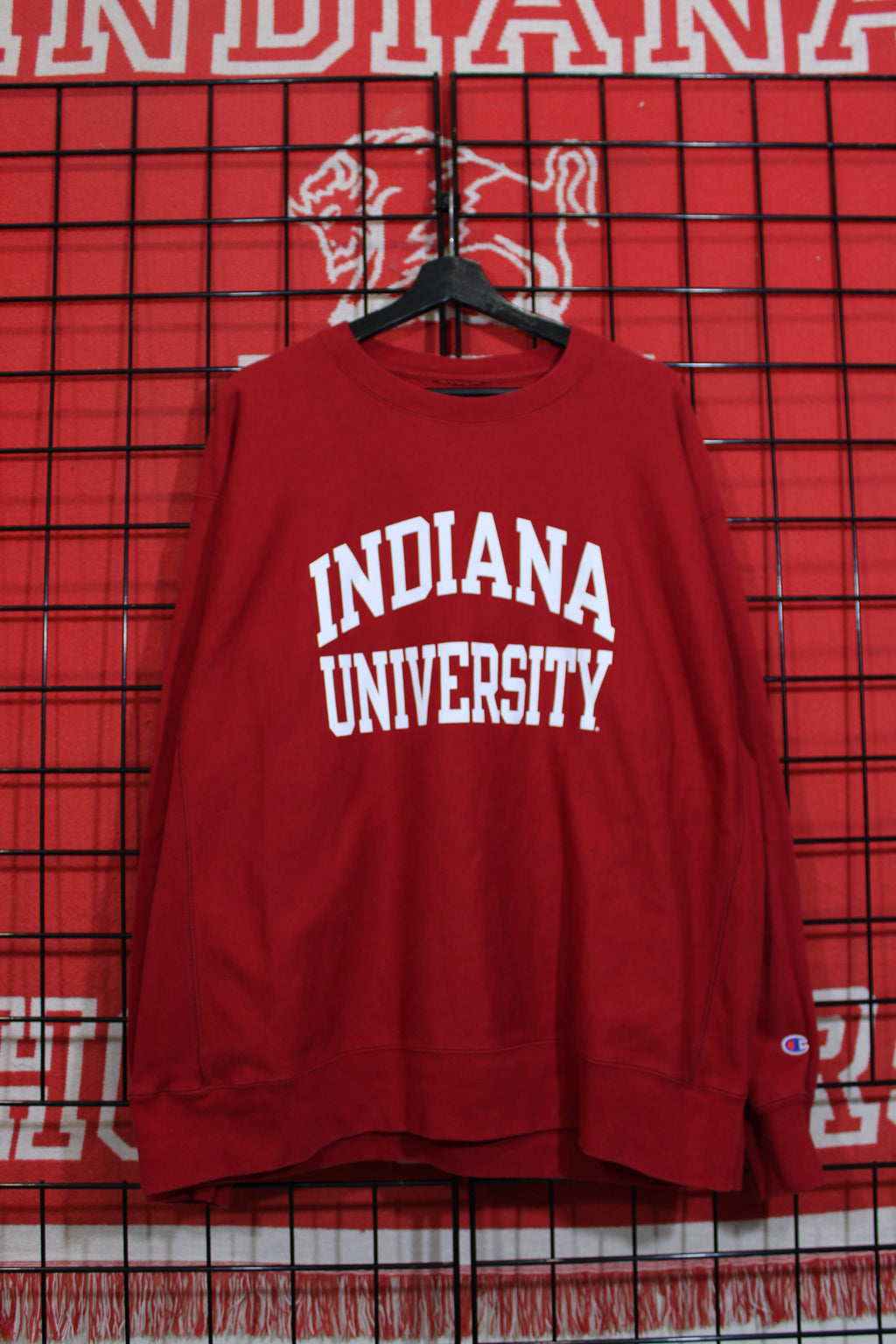 iu1026363a.jpg