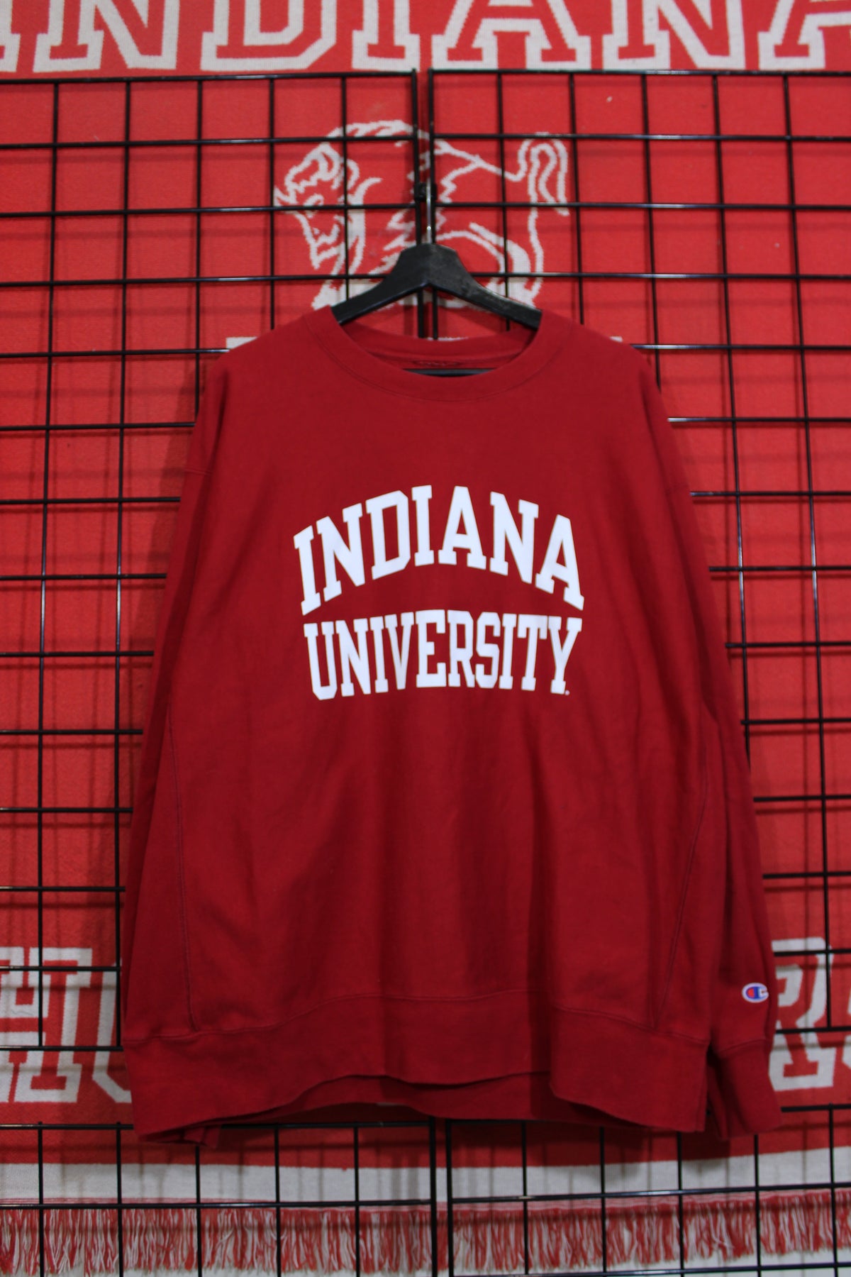 iu1026363a.jpg