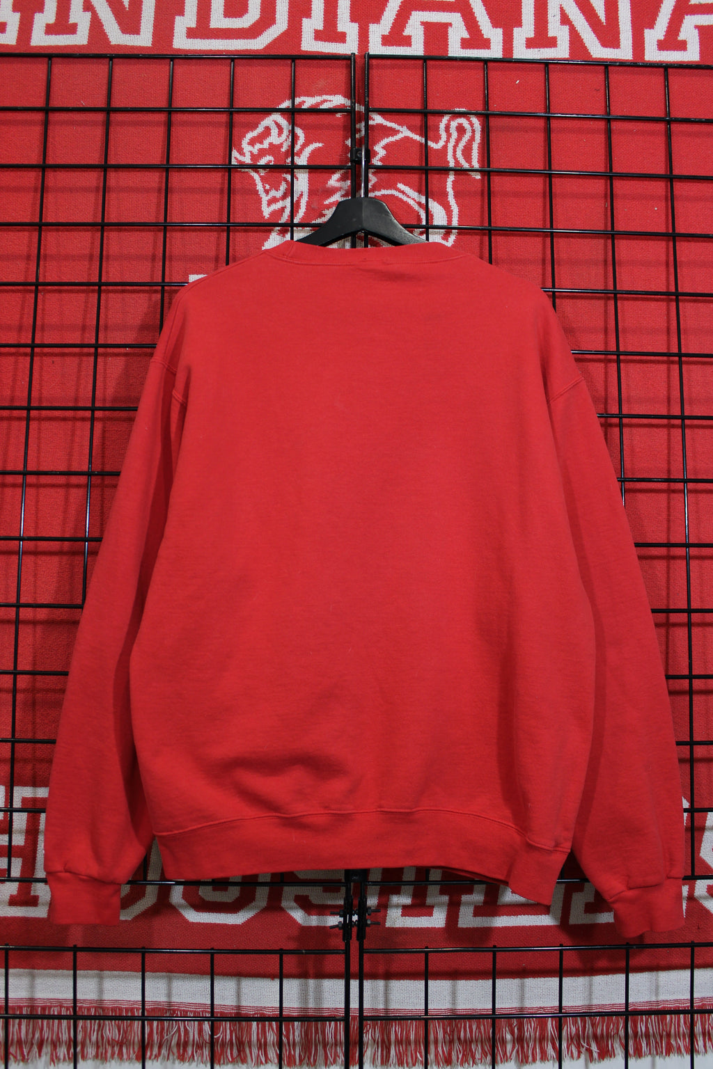iu1026373b.jpg