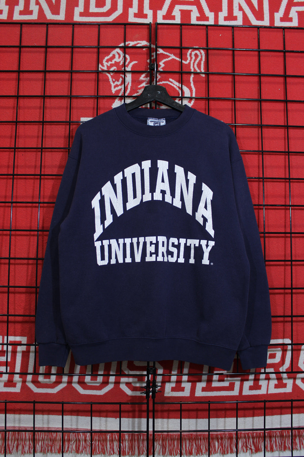 iu1026381a.jpg
