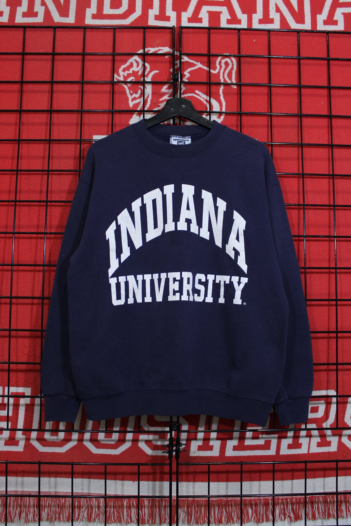 iu1026381a.jpg