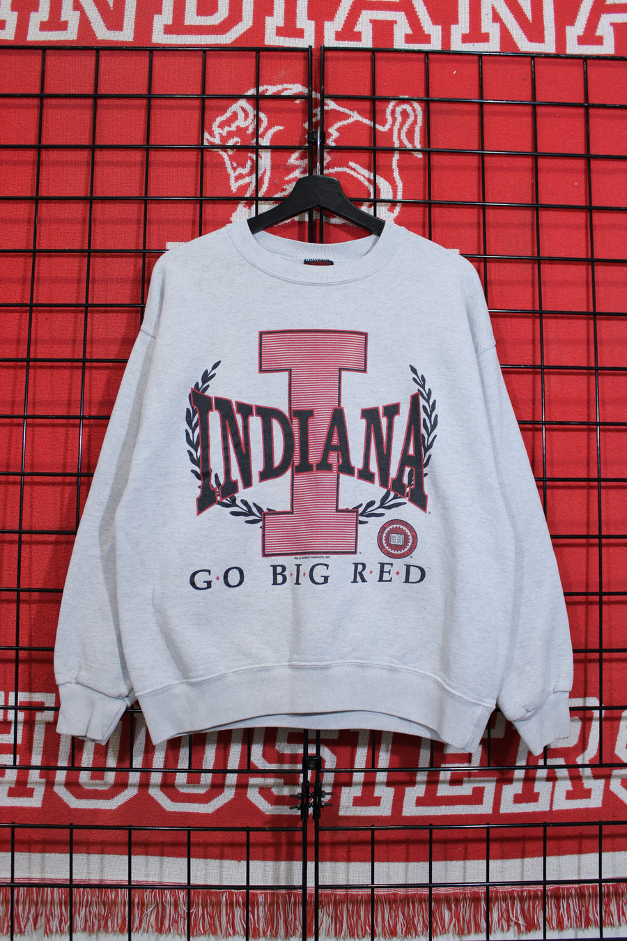 iu1026382a.jpg