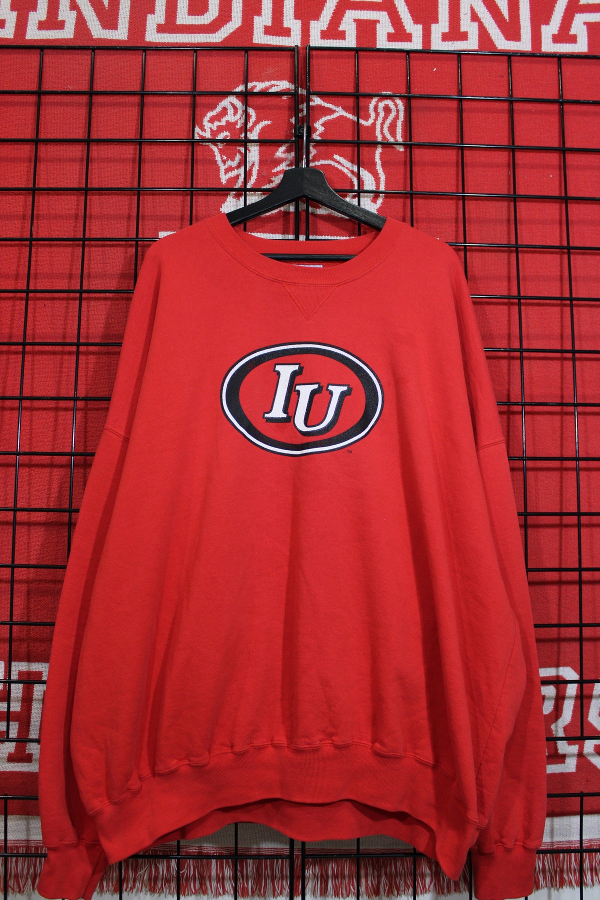 iu1026389a.jpg