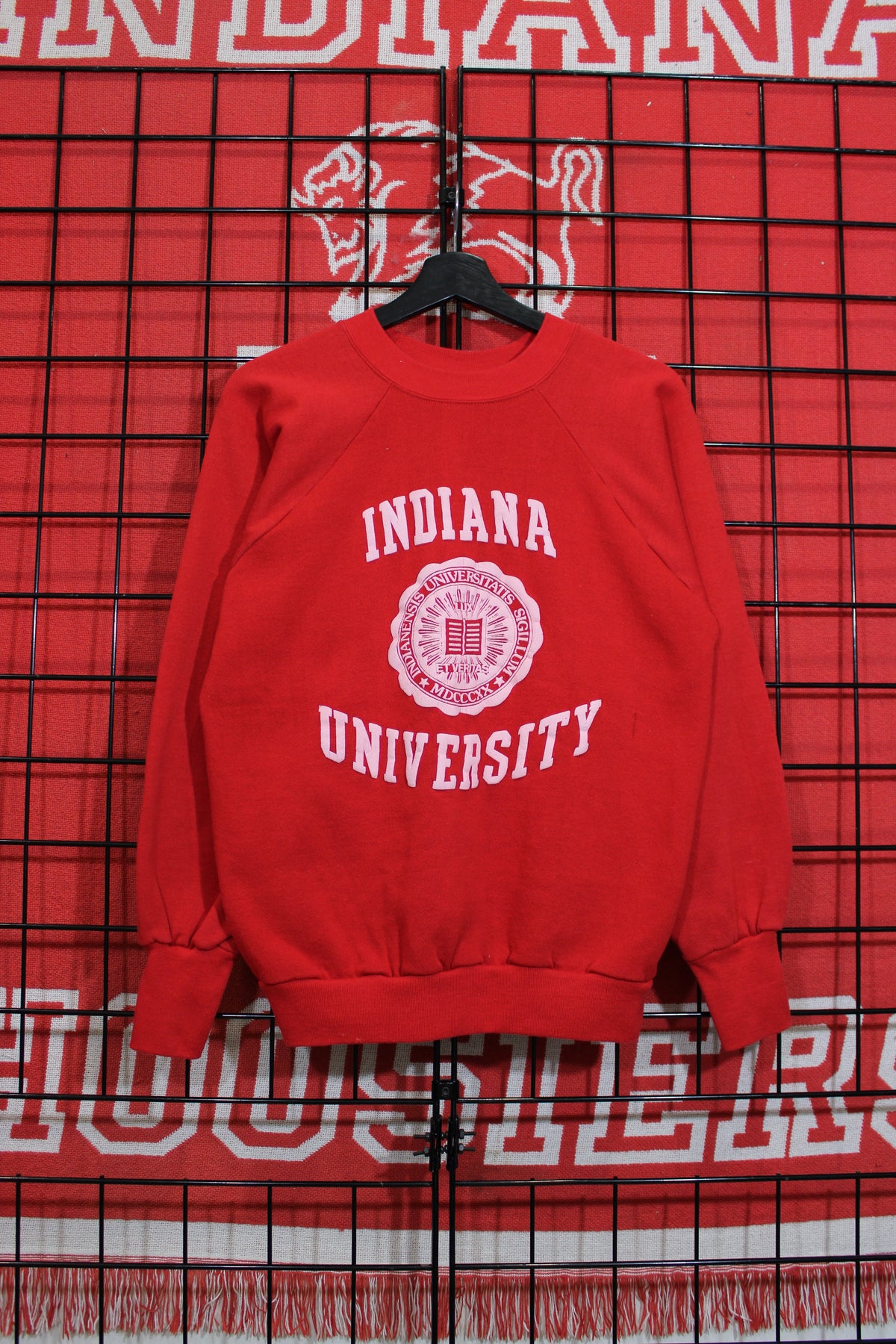 iu1026394a.jpg
