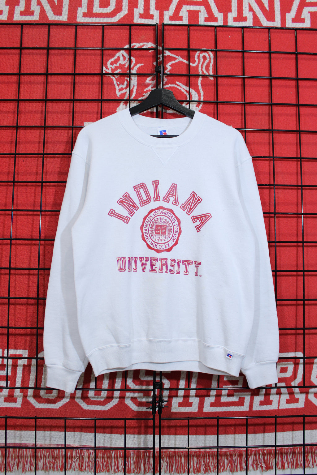 iu1026395a.jpg
