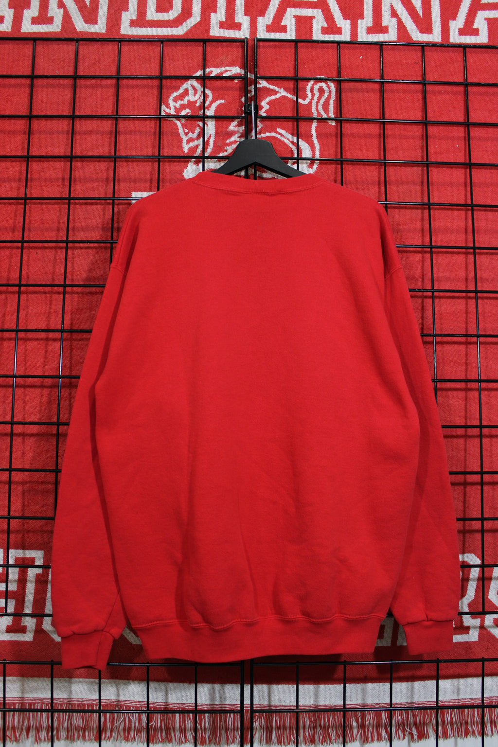 iu1026397b.jpg