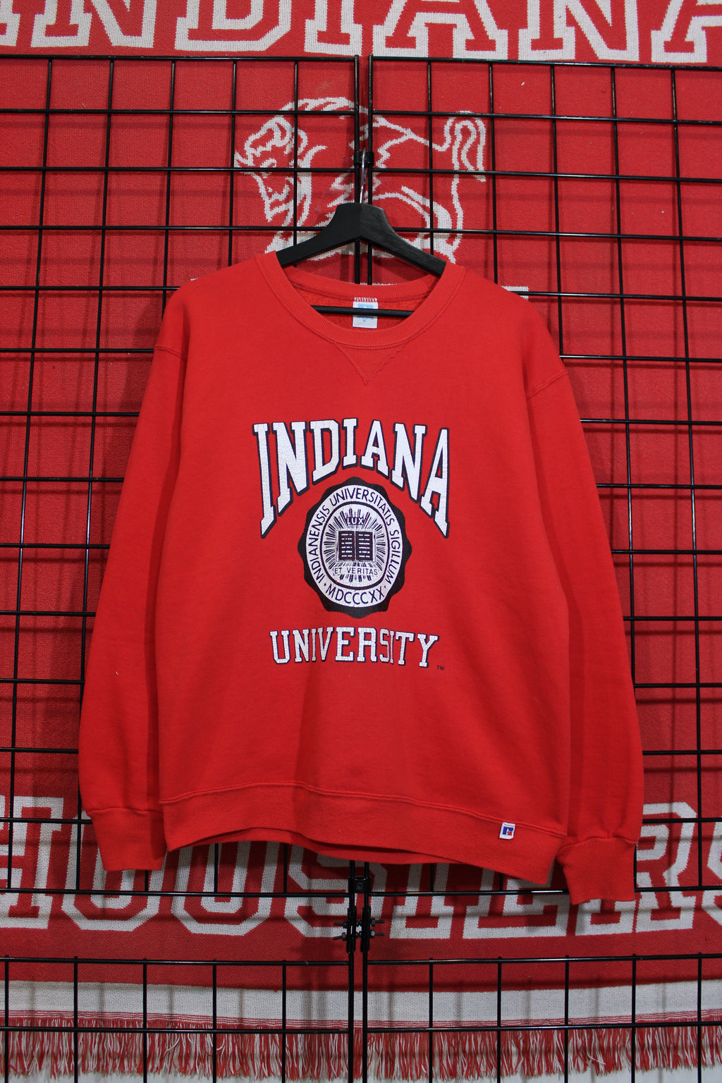 iu1026398a.jpg