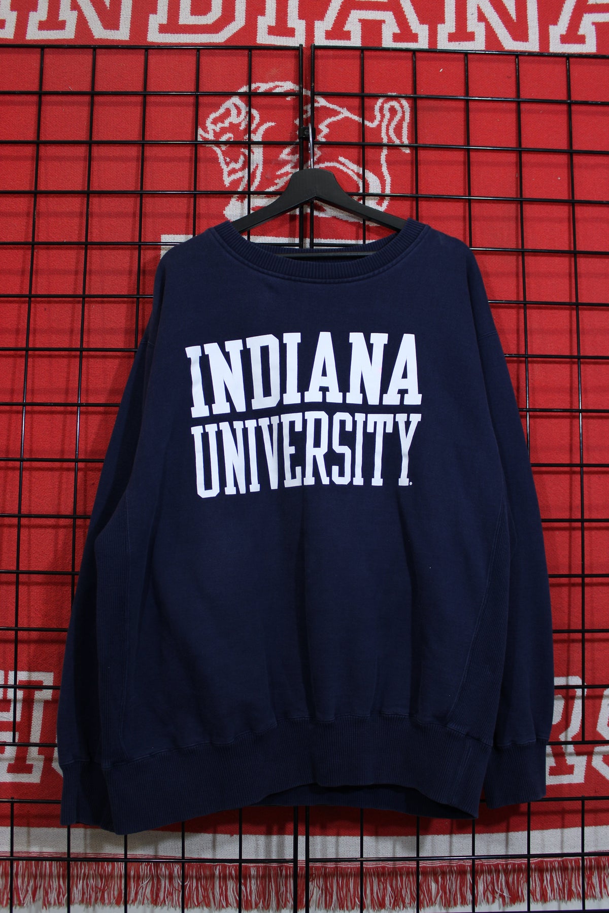 iu1026404a.jpg