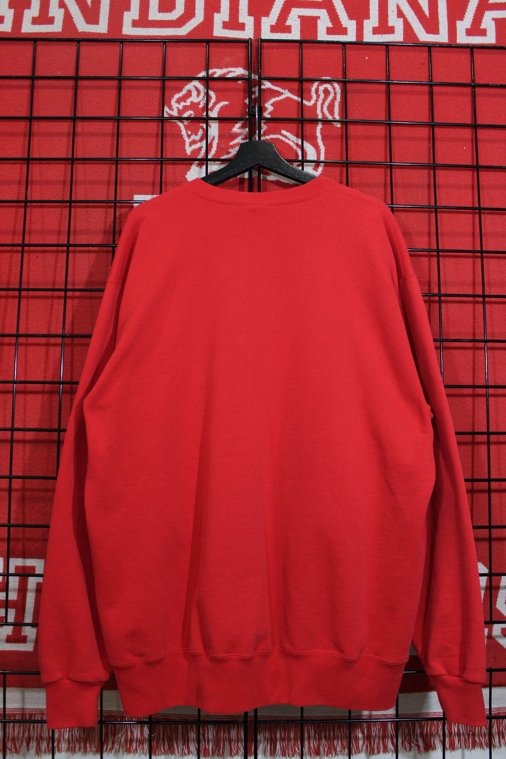 iu1026407b.jpg