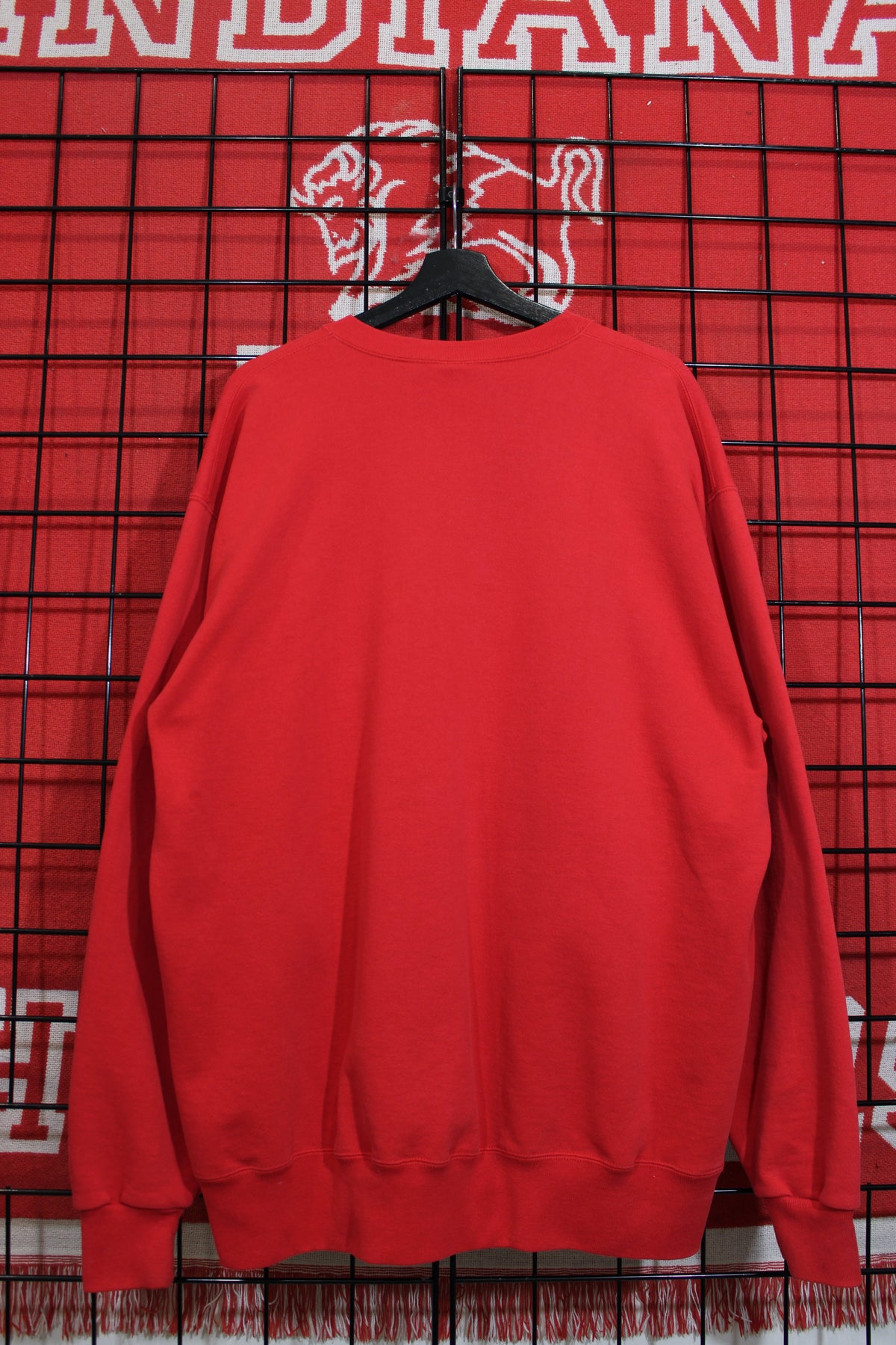 iu1026407b.jpg