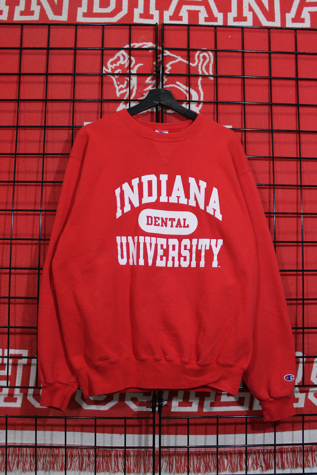 iu1026408a.jpg