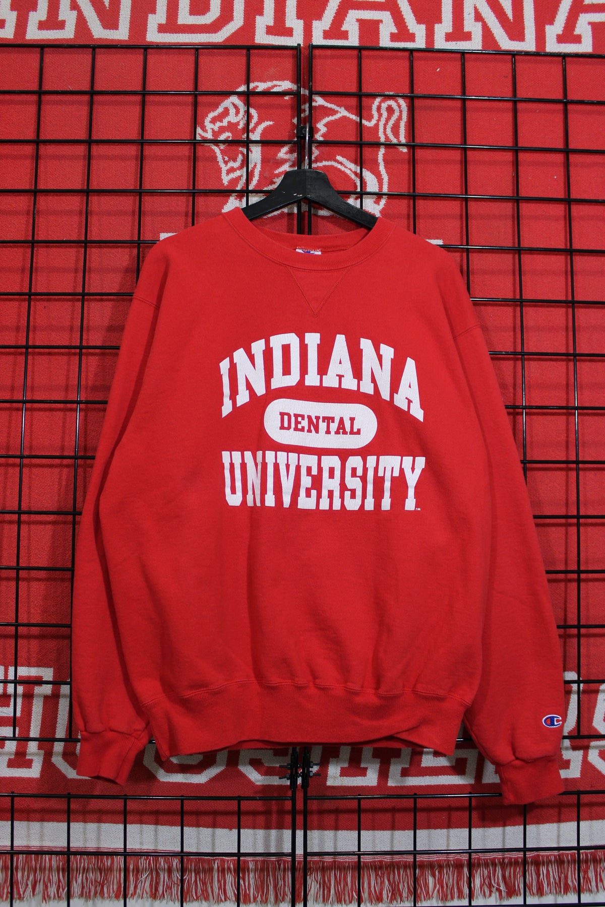 iu1026408a.jpg