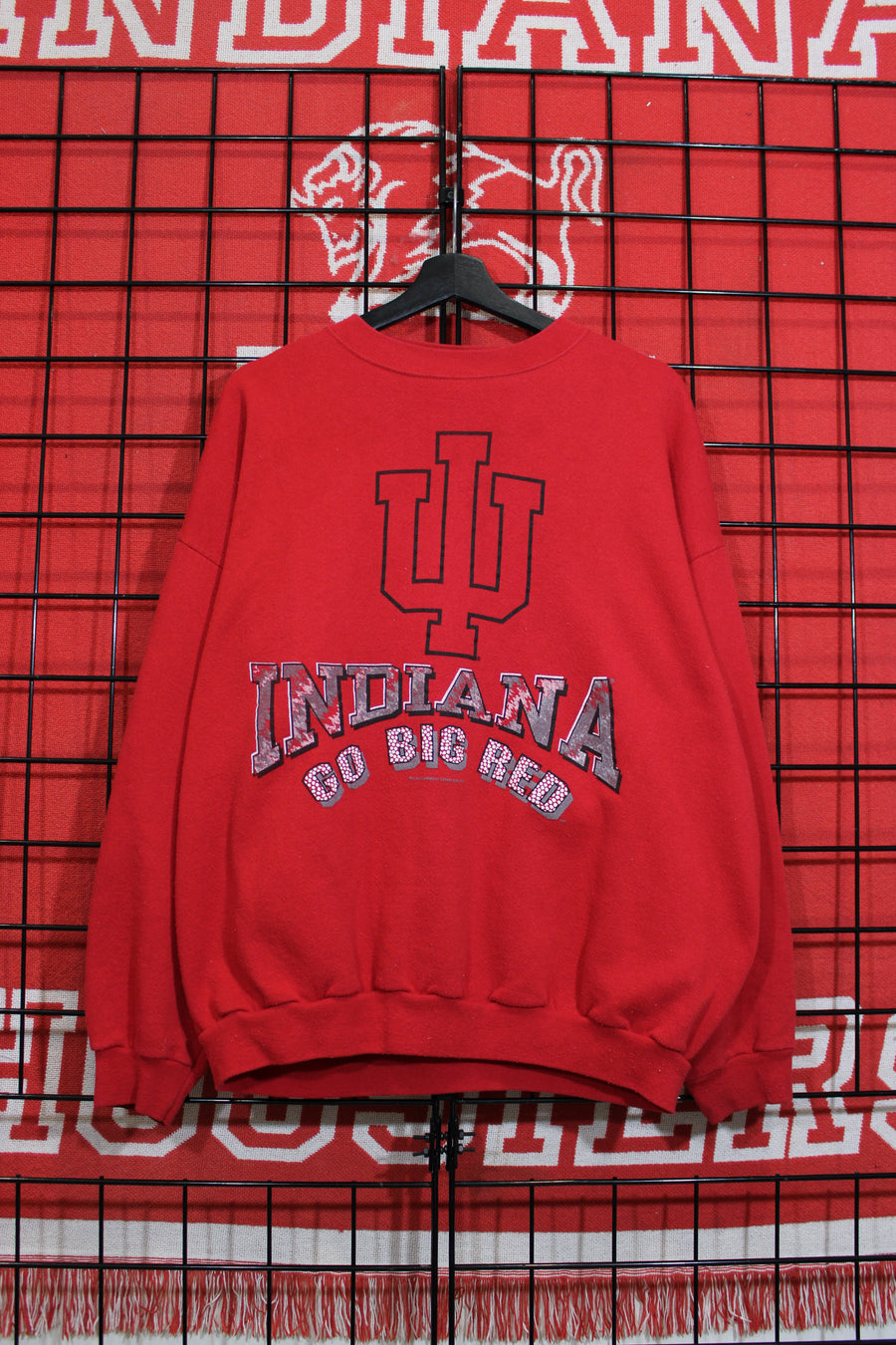 iu1026410a.jpg