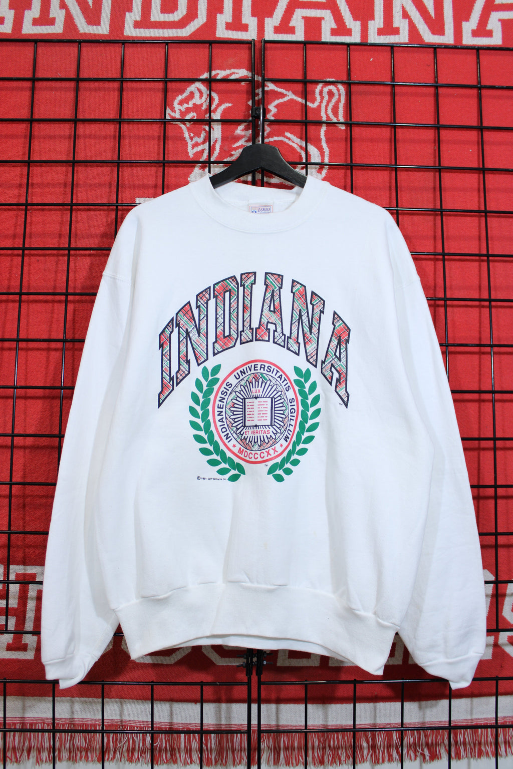 iu1026415a.jpg