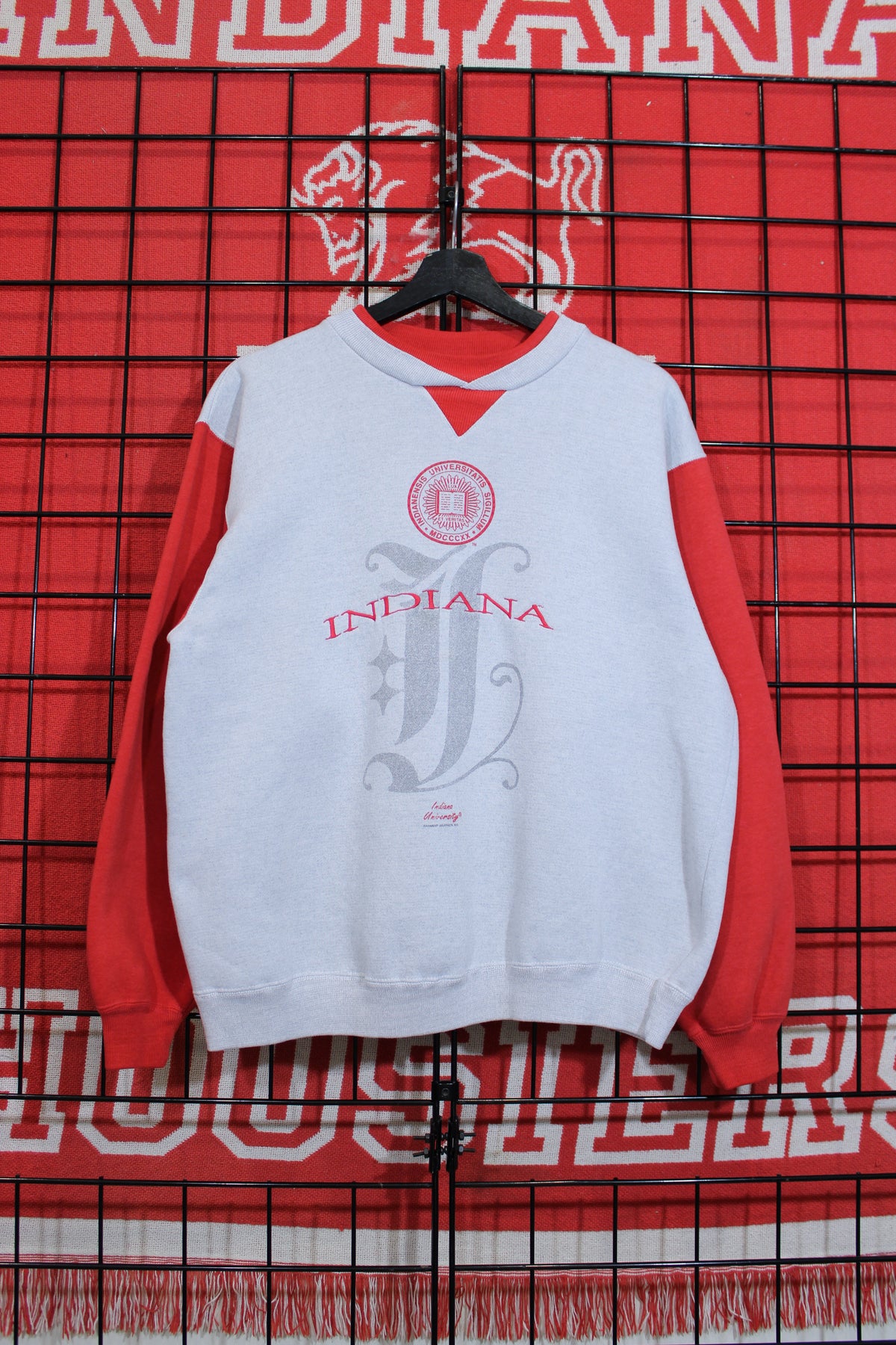 iu1026419a.jpg
