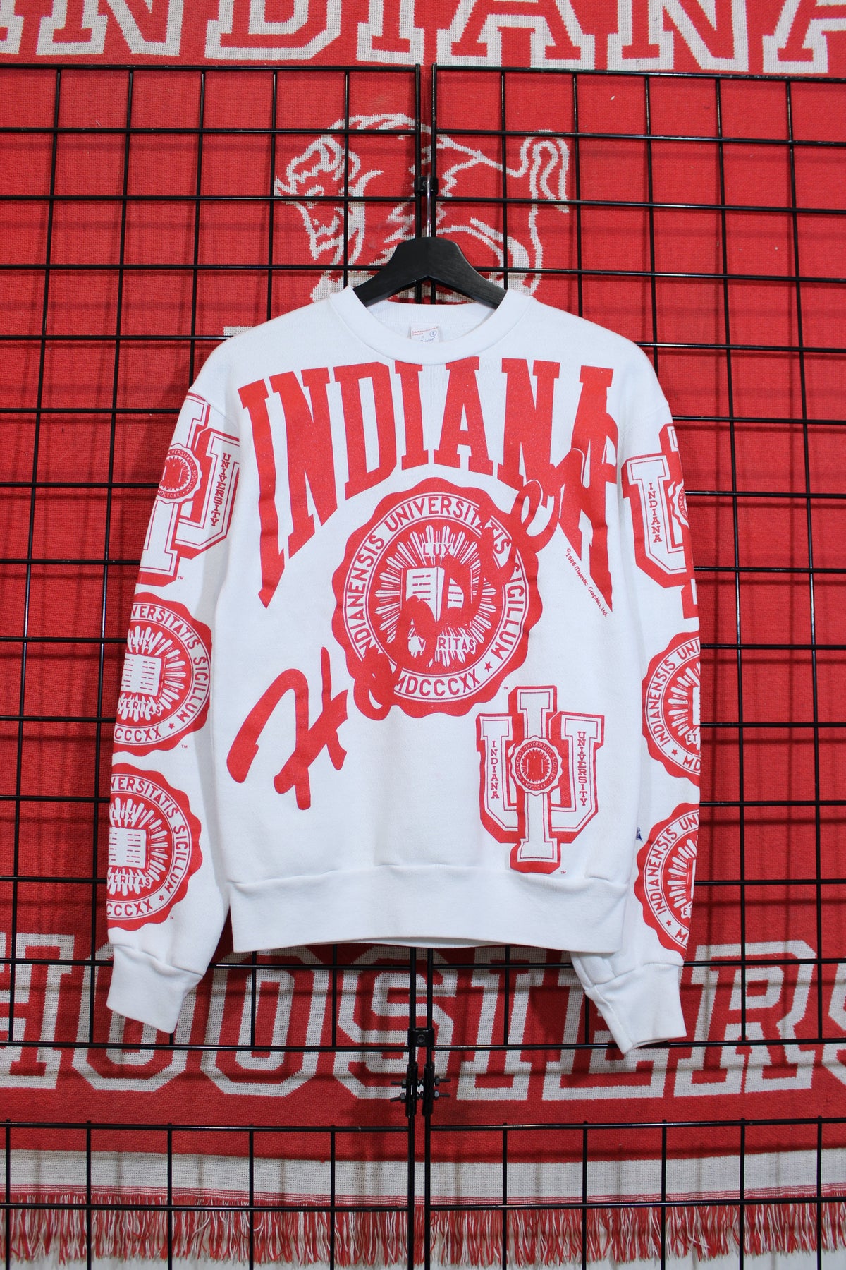 iu1026423a.jpg