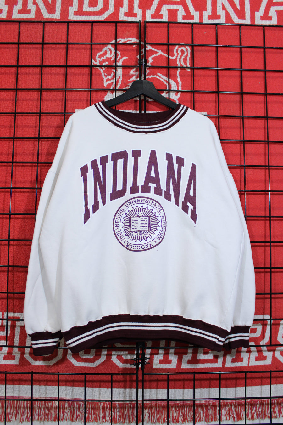 iu1026427a.jpg
