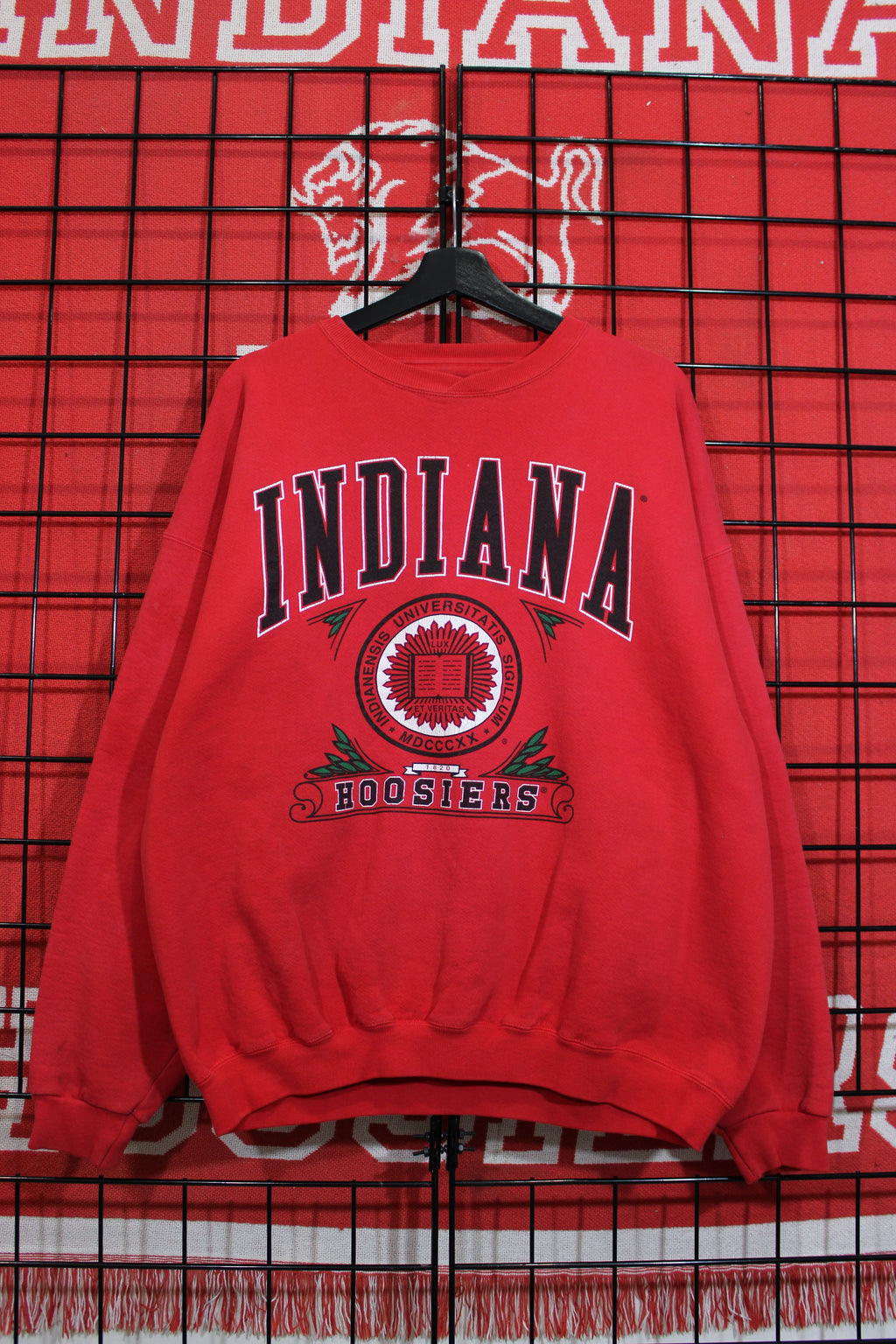 iu1026433a.jpg